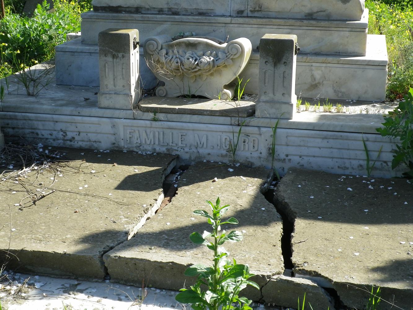 CIMETIERE DE TAMAZOUHET D ORAN EN MARS 2012  (154).JPG